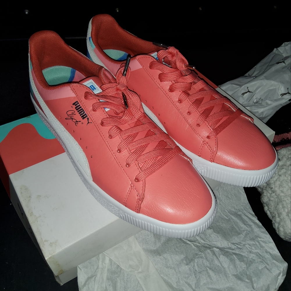 Clyde Drexler pink dolphin